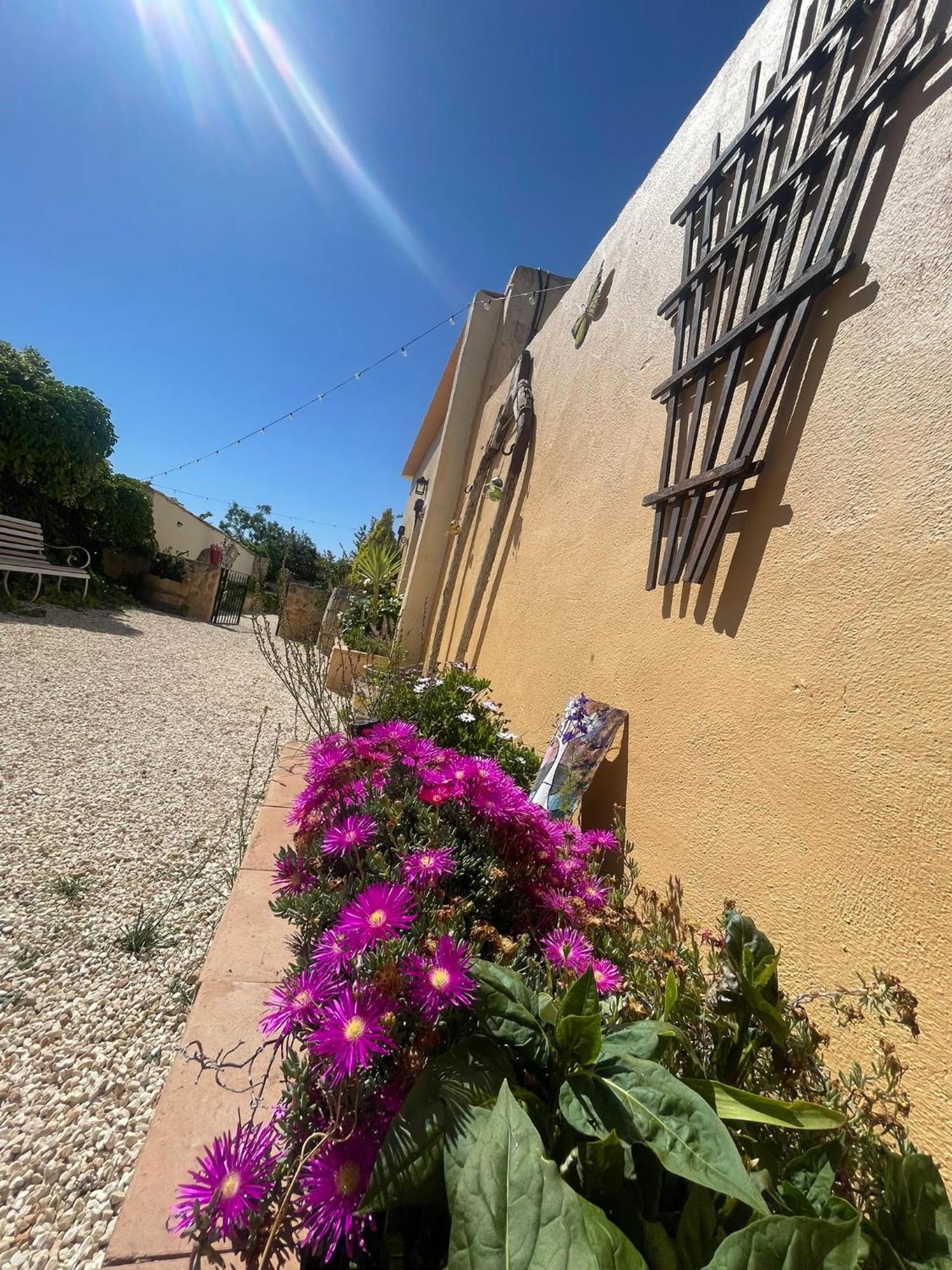 Casa Rural Ubeda - B&B - Pinoso-Alicante Εξωτερικό φωτογραφία
