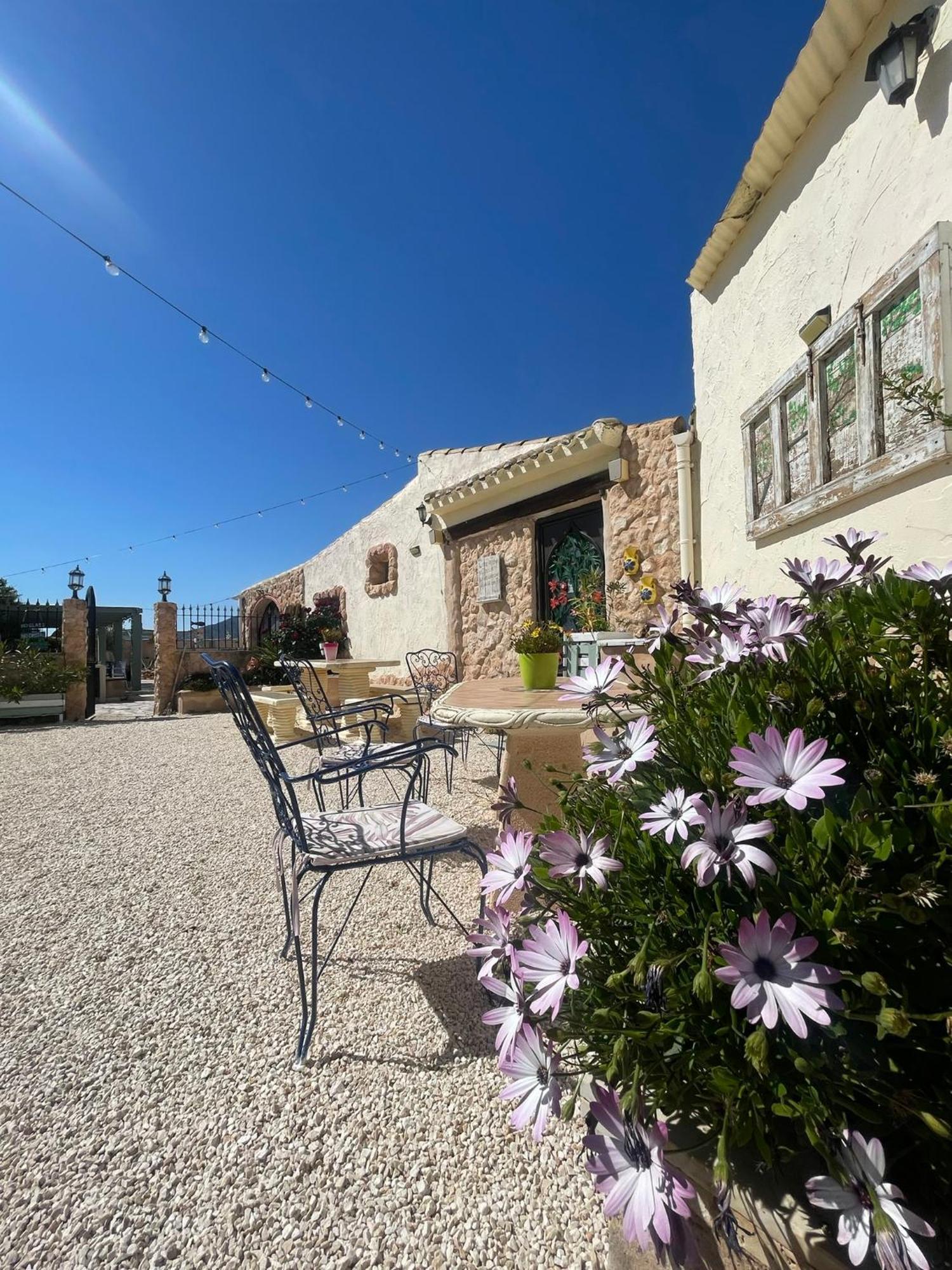 Casa Rural Ubeda - B&B - Pinoso-Alicante Εξωτερικό φωτογραφία